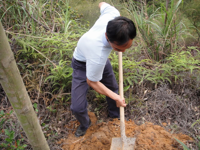 现场植树中..